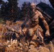 skyrim-geant