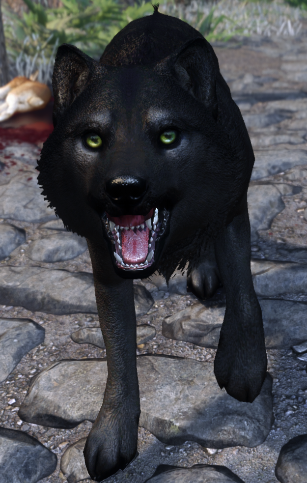 skyrim loup