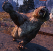 skyrim-smilodon