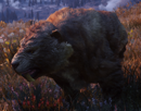 skyrim-smilodon