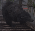 skyrim-ours