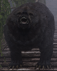 skyrim-ours