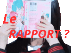 iroha illit le rapport lerapport bouquin