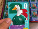 oie-mexique-mexicain-mexicaine-carte-panini-coupe-du-monde-cdm-2026-supporter-supporters-canard-maillot