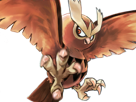 noarfang-noctowl-japonais-pokemon-pkm-jeu-anime-type-normal-vol-2g-johto-hibou