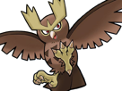 noarfang-noctowl-japonais-pokemon-pkm-jeu-anime-type-normal-vol-2g-johto-hibou