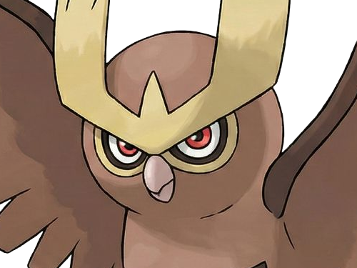noarfang noctowl japonais pokemon pkm jeu anime type normal vol 2g johto hibou