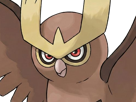 noarfang-noctowl-japonais-pokemon-pkm-jeu-anime-type-normal-vol-2g-johto-hibou