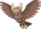 noarfang-noctowl-japonais-pokemon-pkm-jeu-anime-type-normal-vol-2g-johto-hibou