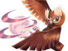 noarfang-noctowl-japonais-pokemon-pkm-jeu-anime-type-normal-vol-2g-johto-hibou