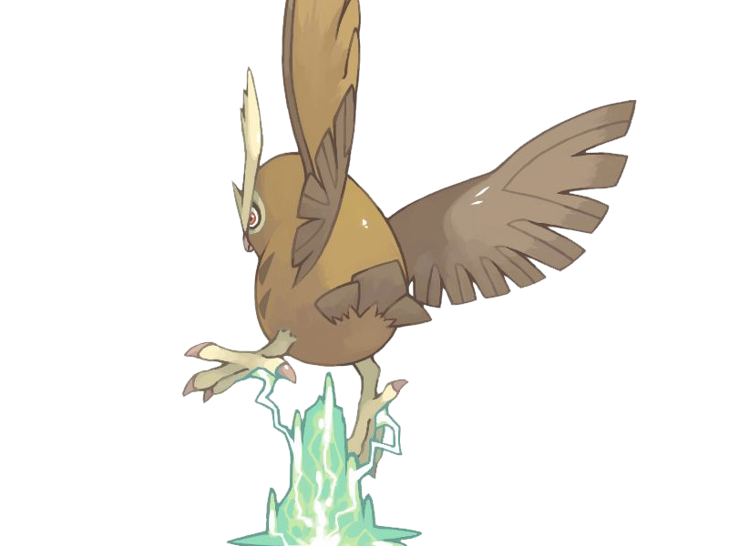 noarfang noctowl japonais pokemon pkm jeu anime type normal vol 2g johto hibou