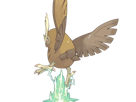 noarfang-noctowl-japonais-pokemon-pkm-jeu-anime-type-normal-vol-2g-johto-hibou