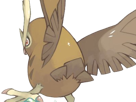 noarfang-noctowl-japonais-pokemon-pkm-jeu-anime-type-normal-vol-2g-johto-hibou