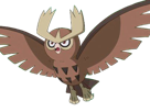 noarfang-noctowl-japonais-pokemon-pkm-jeu-anime-type-normal-vol-2g-johto-hibou