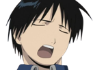 roy-mustang-fullmetal-alchemist-fma-cheveux-noir-veste-bleue-fulgence-archambault-fic-bloop