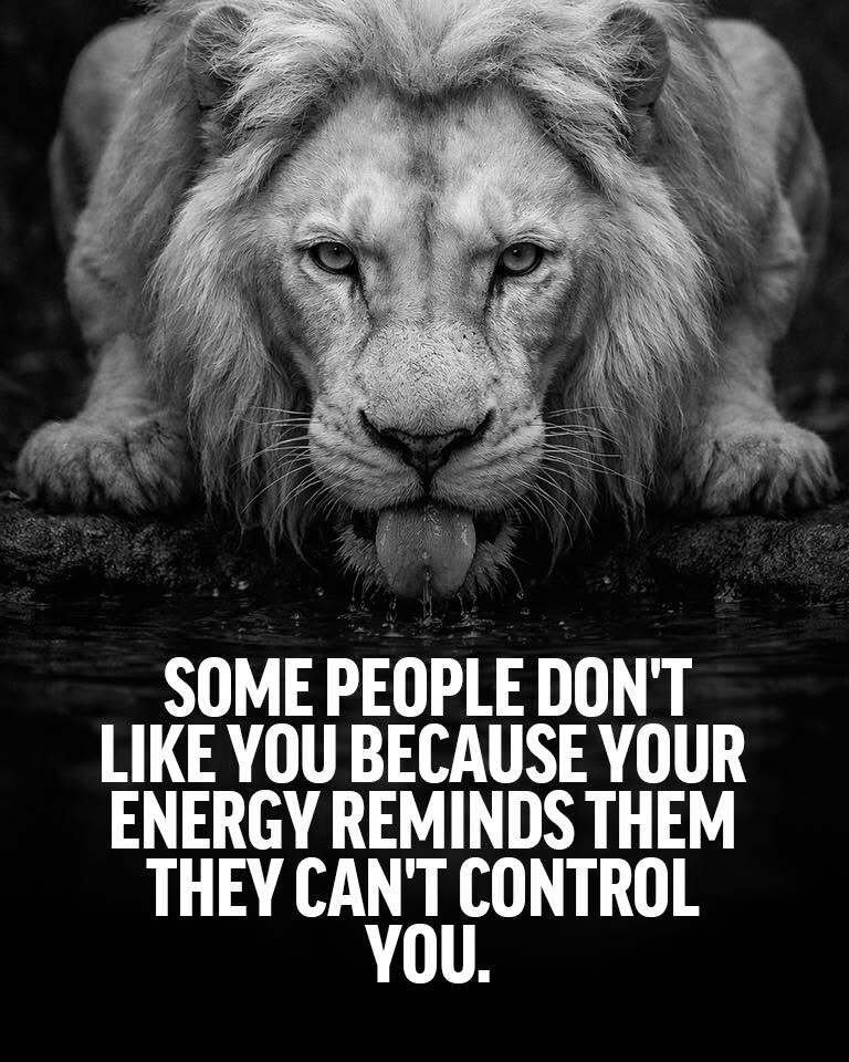 quote fact mind filo philo respect loyal amitie spirit evol socio relation manipule control psych