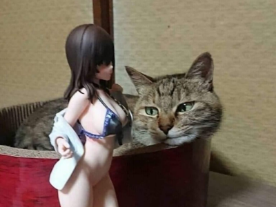 chat regard lubrique figurine japonaise kikoojap kikoo jap mate mater