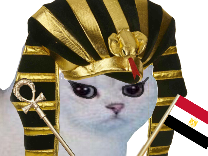 chat enerve egypte deter colere blanc