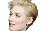 elizabeth-debicki-actrice-femme-polonaise-australienne-cheveux-blonds-yeux-bleues-2015s-vingtenaire-vingtaine-grande-cheveux-courts