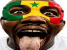 thuram-senegal-foot-football-masque-langue-but-grimace