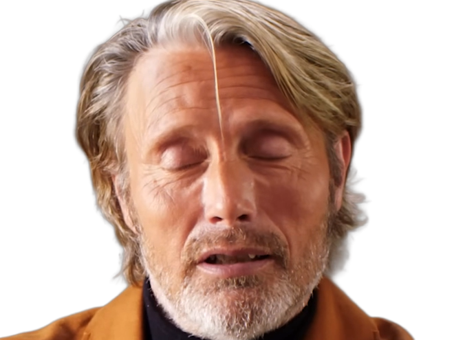 mads dittman mikkelsen danseur acteur danois homme charismatique cinquantaine cinquantenaire