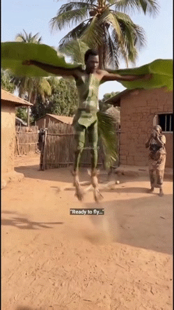 aerien envole plane helico fly para salto spectacle saute flotte africa tech nasa wing spacex