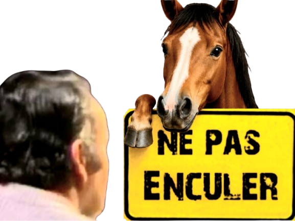 nepasenculer ne pas enculer nepasenculercheval cheval tarax nepasenculeranimal