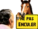 nepasenculer-ne-pas-enculer-nepasenculercheval-cheval-tarax-nepasenculeranimal