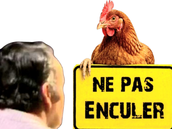 nepasenculer ne pas enculer poule nepasenculerpoule animal tarax