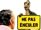 nepasenculer-dextro-ne-pas-enculer-dinosaure-bigtarax