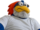 boomer-pervers-other-lunettes-lunette-vieux-barbe-footix