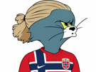 coupe-monde-foot-football-haaland-erling-norvege-norway