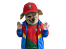chien-maillot-portugais-portugal-casquette