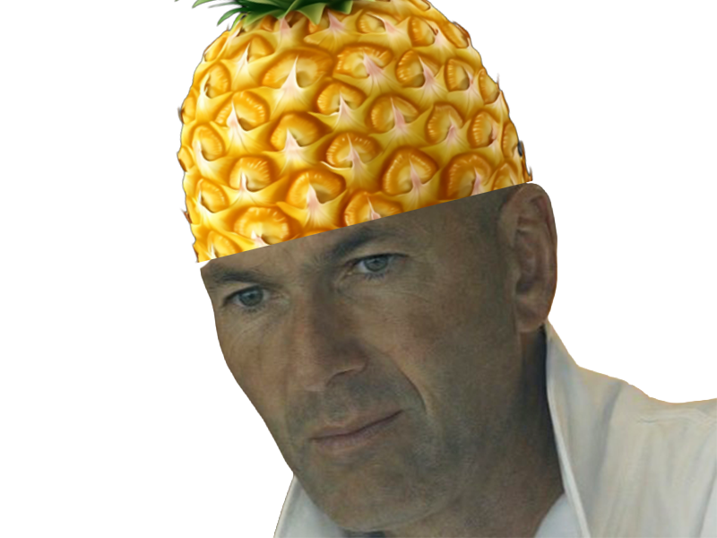 zinedine zidane foot footbal coupe du monde cdm brise deception ananas fruit zidananas