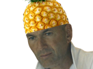 zinedine-zidane-foot-footbal-coupe-du-monde-cdm-brise-deception-ananas-fruit-zidananas