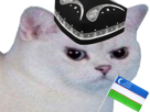 risitas-rage-colere-enerve-blanc-chat-ouzbek-ouzbekistan-doppi-doppa-chapeau-drapeau