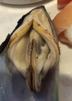 moule-mariniere-degustation-chatte-miam