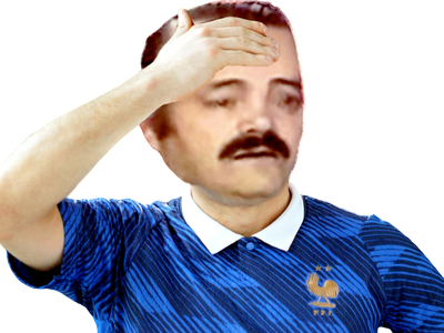 sueur engueuler colere triste risitas remontada perdre cdm edf france foot football defaite sport chaud