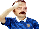 sueur-engueuler-colere-triste-risitas-remontada-perdre-cdm-edf-france-foot-football-defaite-sport-chaud
