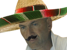 zinedine-zidane-coupe-du-monde-foot-football-brise-deception-choque-mexique-mexicain-sombrero-moustache