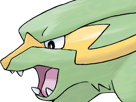 dynavolt-electrike-rakurai-pokemon-pkm-jeu-anime-type-electrik-3g-hoenn-orage