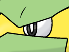 dynavolt-electrike-rakurai-pokemon-pkm-jeu-anime-type-electrik-3g-hoenn-orage