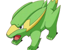 dynavolt-electrike-rakurai-pokemon-pkm-jeu-anime-type-electrik-3g-hoenn-orage