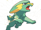 dynavolt-electrike-rakurai-pokemon-pkm-jeu-anime-type-electrik-3g-hoenn-orage
