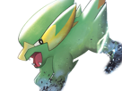 dynavolt-electrike-rakurai-pokemon-pkm-jeu-anime-type-electrik-3g-hoenn-orage