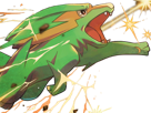 dynavolt-electrike-rakurai-pokemon-pkm-jeu-anime-type-electrik-3g-hoenn-orage