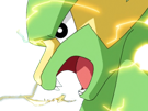 dynavolt-electrike-rakurai-pokemon-pkm-jeu-anime-type-electrik-3g-hoenn-orage
