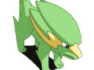 dynavolt-electrike-rakurai-pokemon-pkm-jeu-anime-type-electrik-3g-hoenn-orage