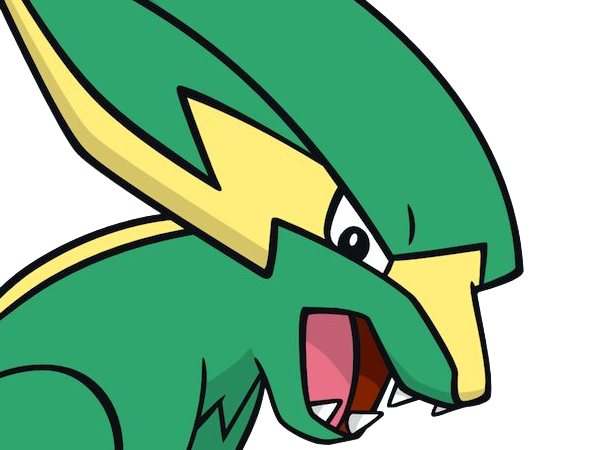 dynavolt electrike rakurai pokemon pkm jeu anime type electrik 3g hoenn orage