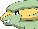 dynavolt-electrike-rakurai-pokemon-pkm-jeu-anime-type-electrik-3g-hoenn-orage